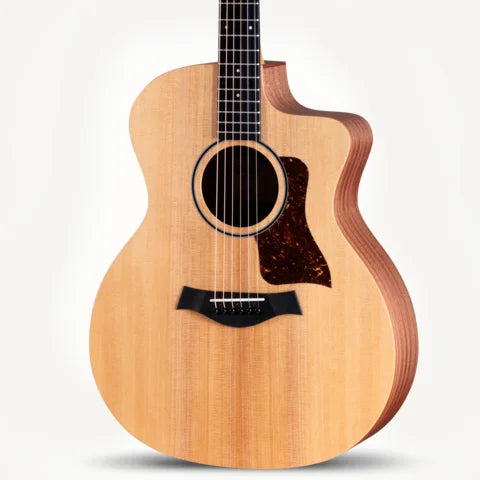 Taylor 14ce