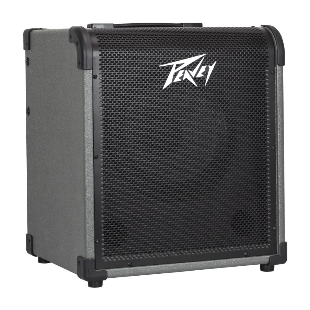 Peavey MAX100 Combo Bass Forsterkari