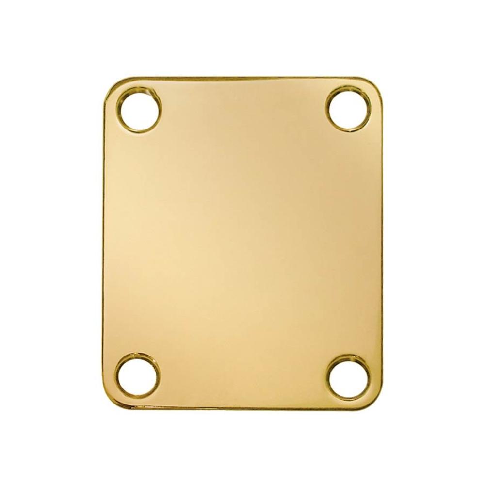 Boston NP-64-G Hálsfestipláta, Gull