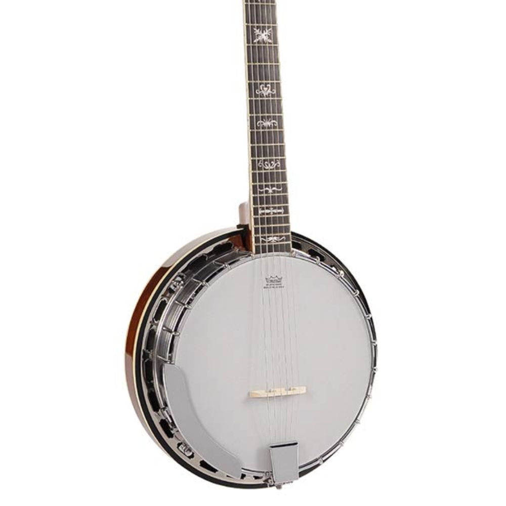 Richwood RMB-906 Master Series Guitar Banjo