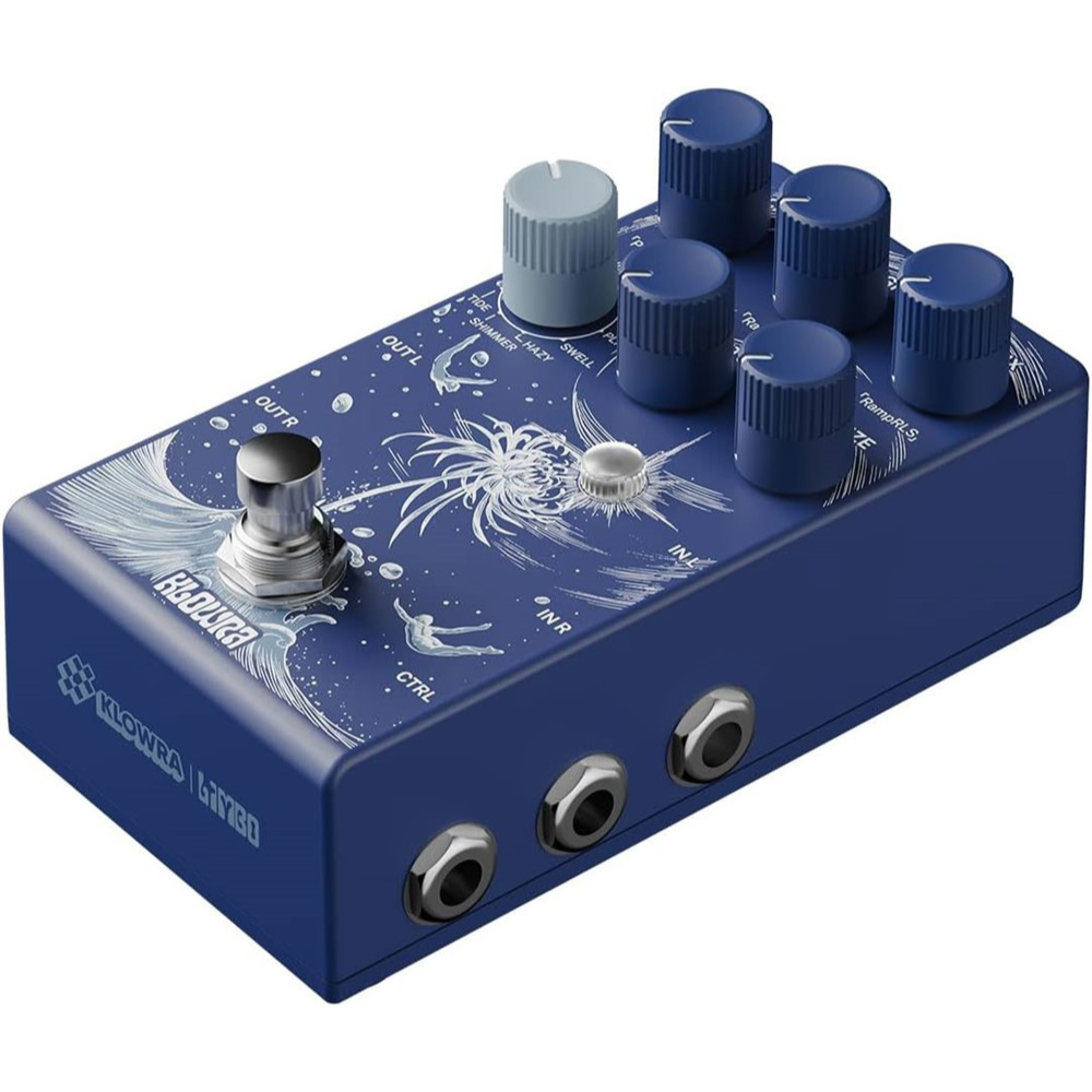 Limbo Multi Reverb Pedal