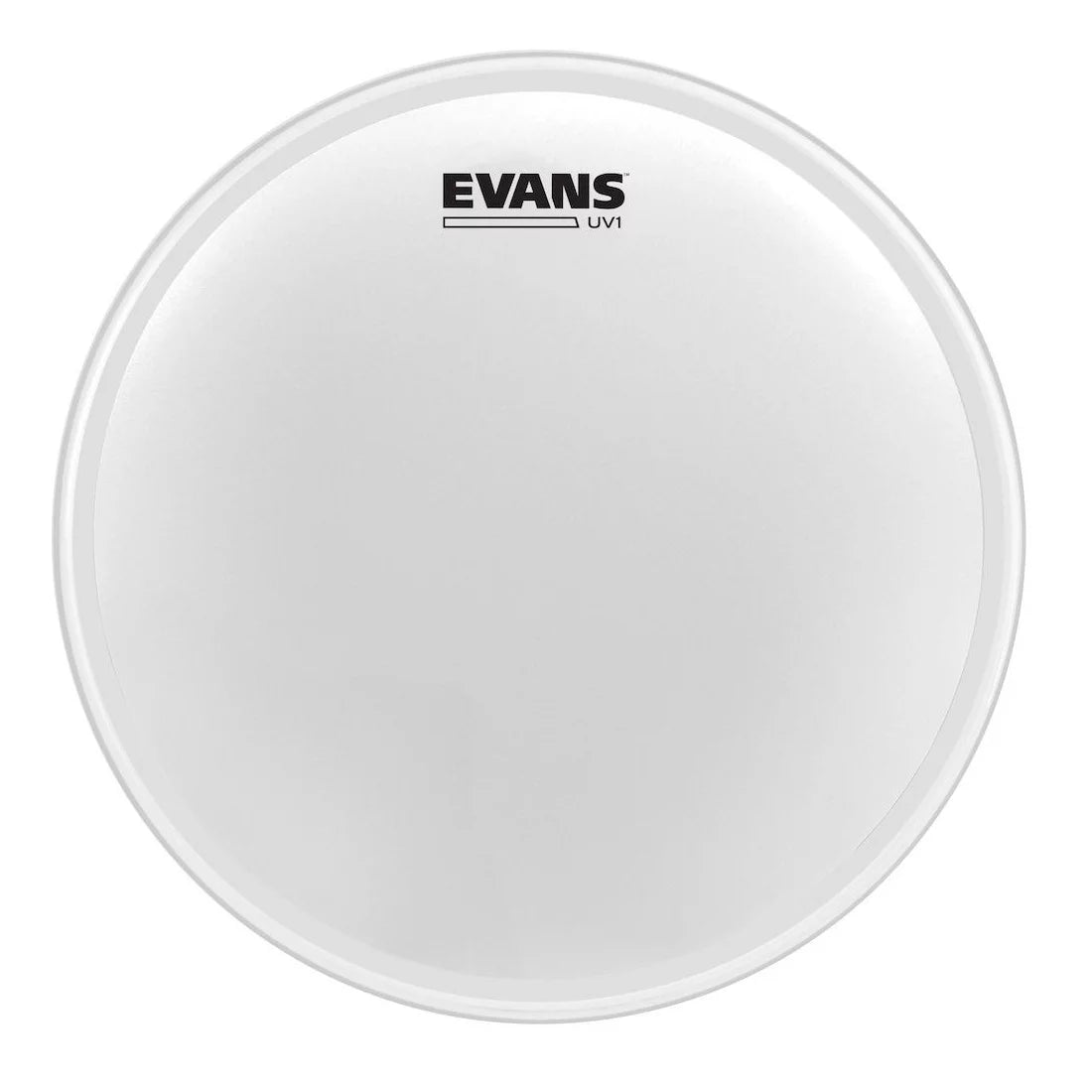 Evans 16" UV1 Coated - Simme Musikkhús