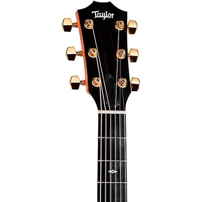 Taylor 217e Plus Limited Editon Akkusiskur Guitar - Simme Musikkhús