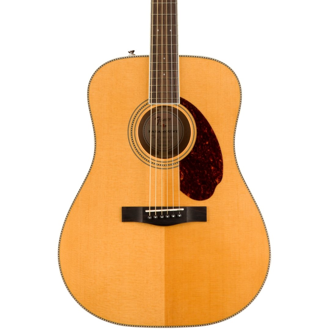 Fender PM-1E Standard Dreadnought - Simme Musikkhús