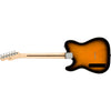 Squier Paranormal Thinline Tele, MN, 2TS - Simme Musikkhús